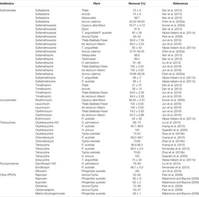 A Review of the Distribution of Antibiotics in Water in Different Regions of China and Current Antibiotic Degradation Pathways